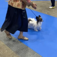 動画サムネイル