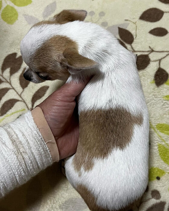 ブログ画像