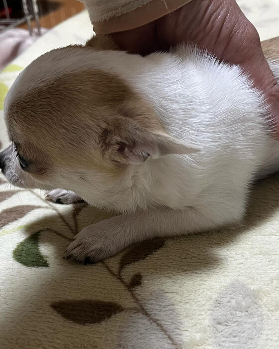 ブログ画像