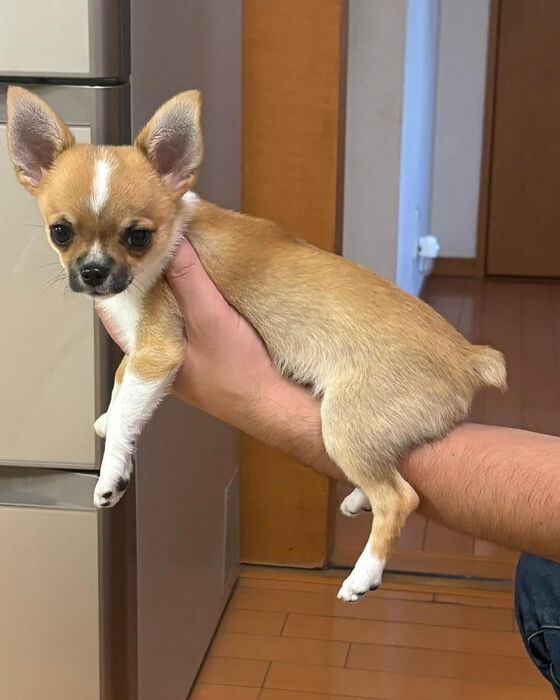 ブログ画像