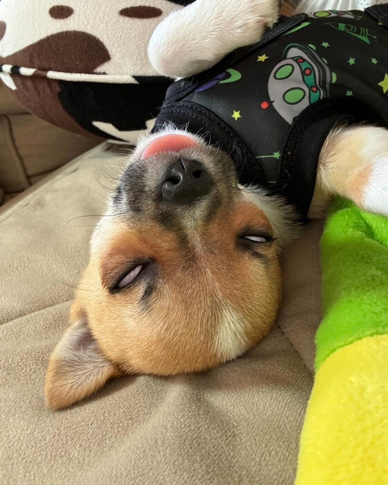 ブログ画像